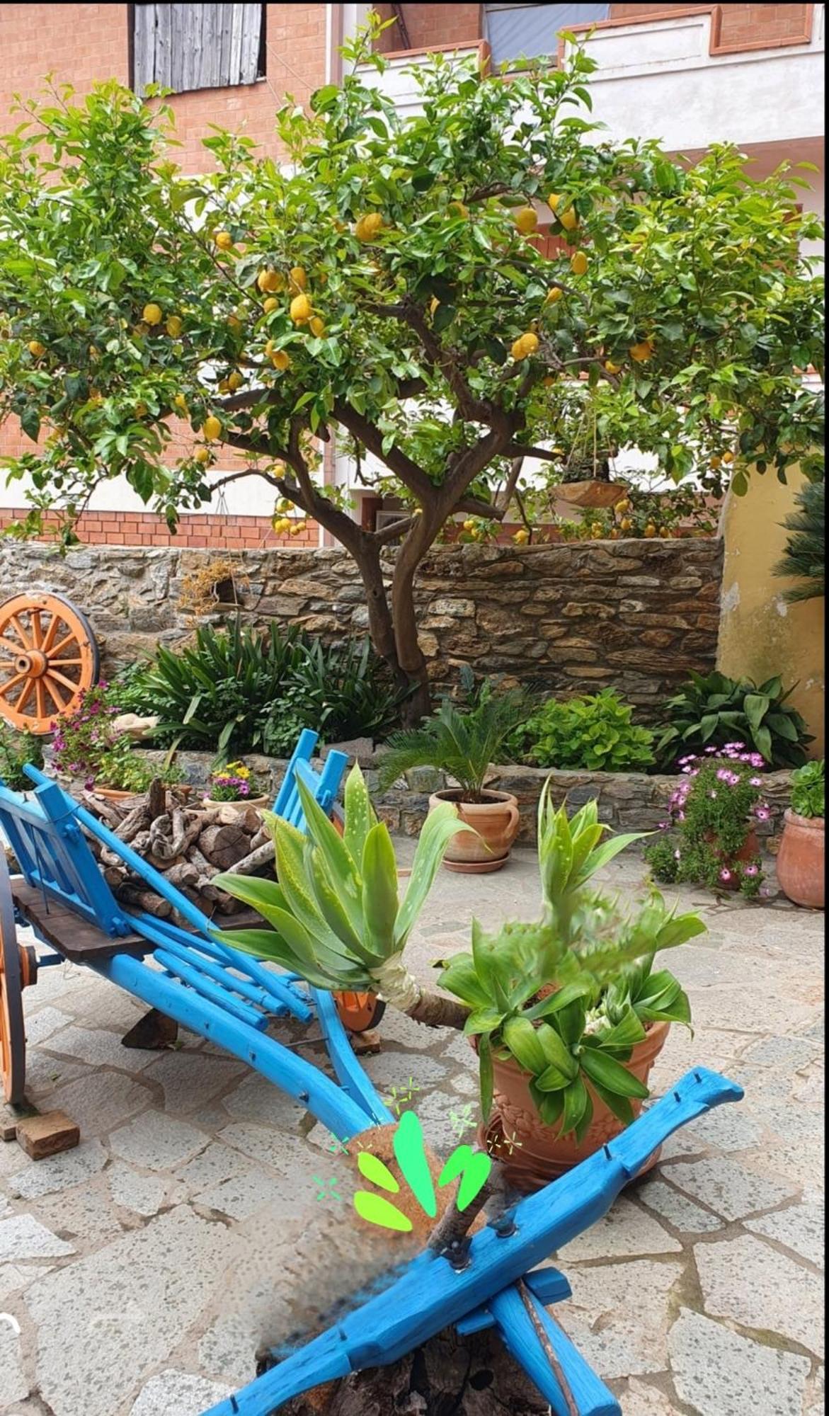 Su Carreri Bed & Breakfast Armungia Ngoại thất bức ảnh
